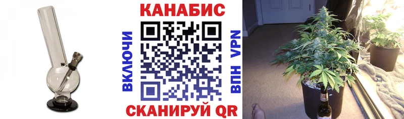 Купить закладку Alpha-PVP  МЕФ  Cocaine  Гашиш  Конопля  Димитровград