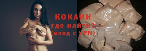 твердый Елизово