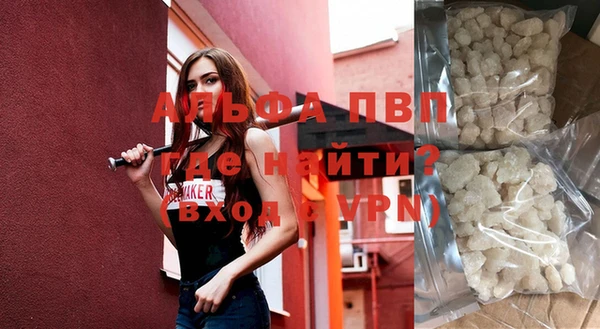 спиды Ельня