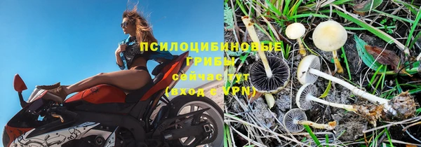 твердый Елизово