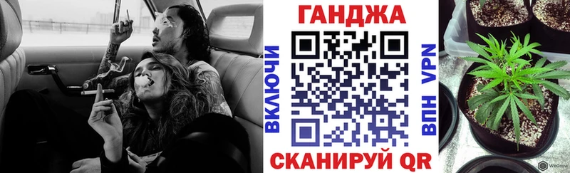 Купить закладки  Димитровград  Конопля OG Kush 